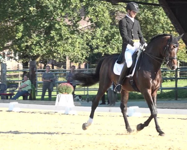 Reitturnier Deitingen 2018
