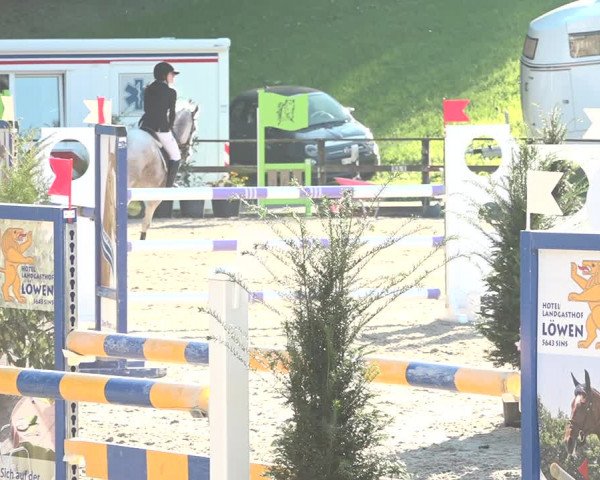 Reitturnier Sins 2018