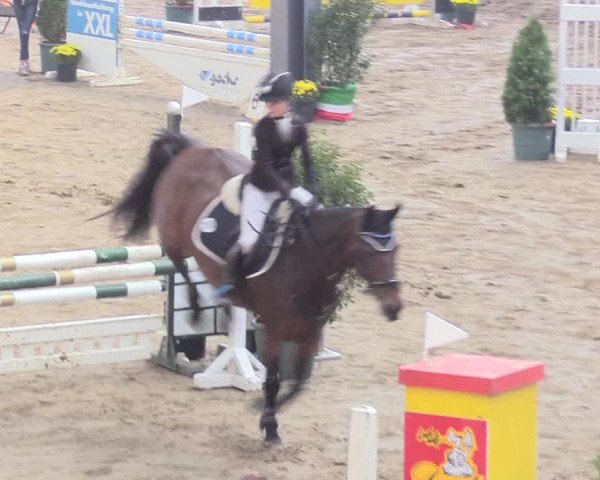 Reitturnier Gronau-Epe 2018