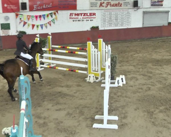 Reitturnier Neunkirchen-Furpach 2018