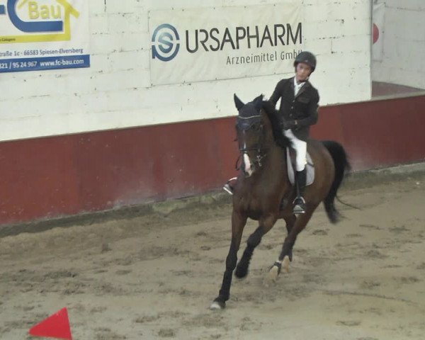 Reitturnier Neunkirchen-Furpach 2018