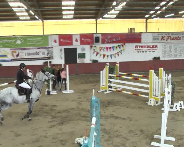 Reitturnier Neunkirchen-Furpach 2018