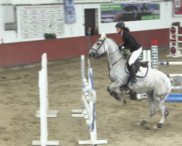 Reitturnier Neunkirchen-Furpach 2018