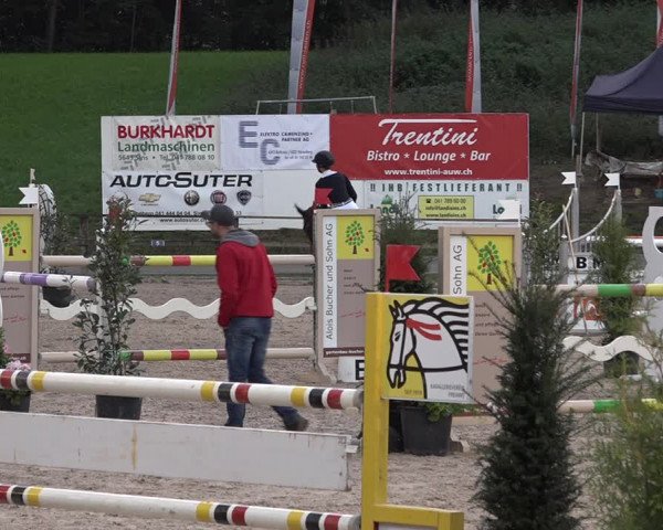 Reitturnier Sins 2018