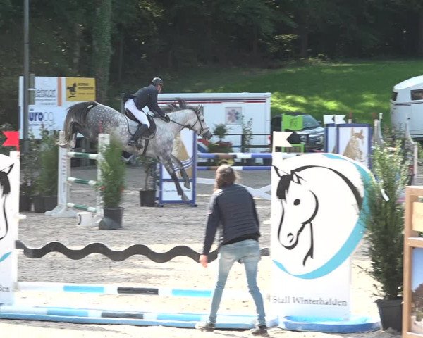Reitturnier Sins 2018