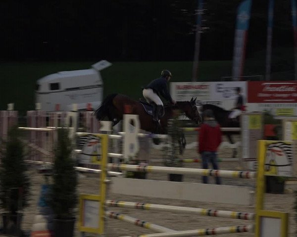 Reitturnier Sins 2018