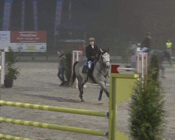 Reitturnier Sins 2018
