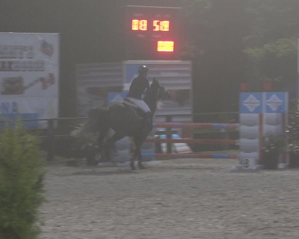 Reitturnier Sins 2018