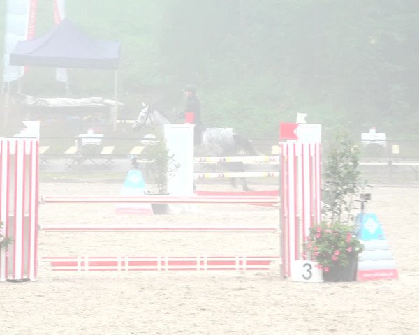 Reitturnier Sins 2018