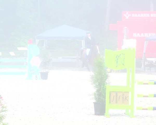 Reitturnier Sins 2018