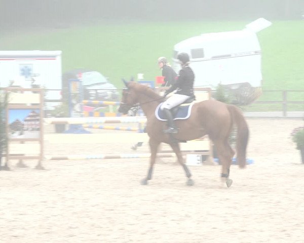Reitturnier Sins 2018