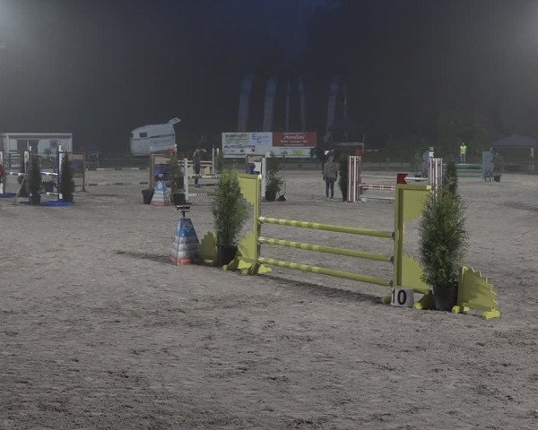 Reitturnier Sins 2018