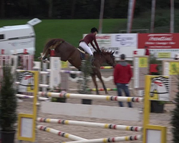 Reitturnier Sins 2018