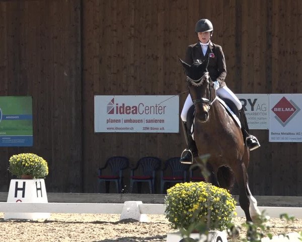 Reitturnier Deitingen 2018