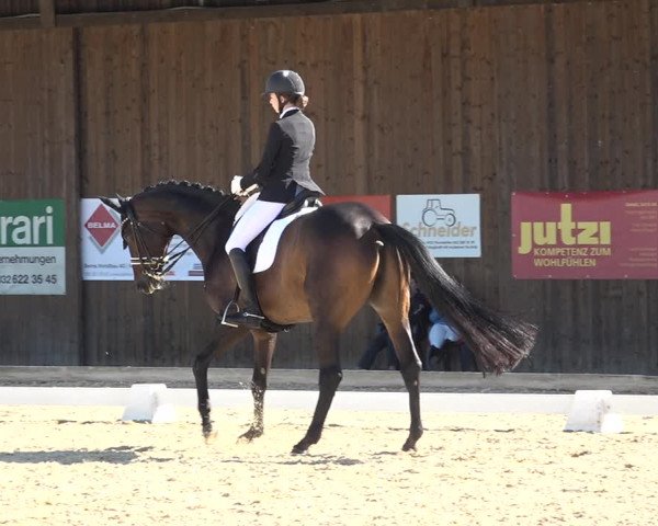 Reitturnier Deitingen 2018