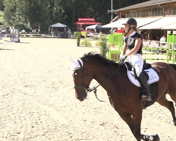 Reitturnier Sins 2018