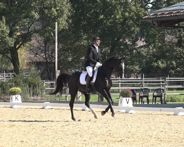 Reitturnier Deitingen 2018