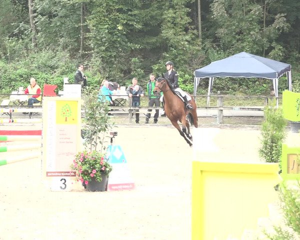 Reitturnier Sins 2018