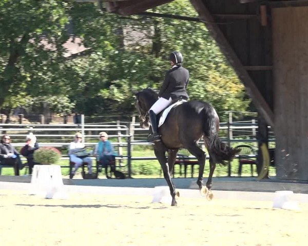 Reitturnier Deitingen 2018