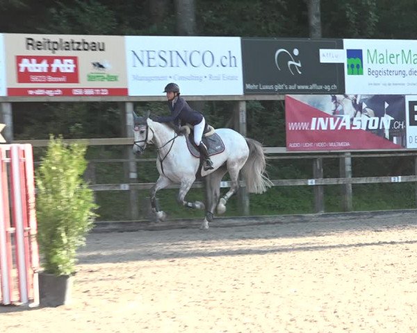 Reitturnier Sins 2018