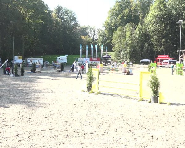 Reitturnier Sins 2018