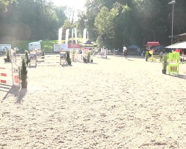 Reitturnier Sins 2018