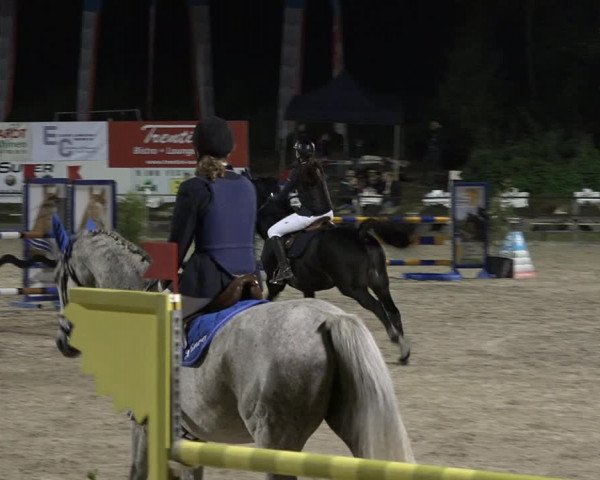 Reitturnier Sins 2018