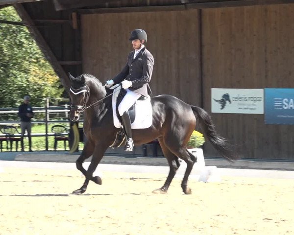 Reitturnier Deitingen 2018