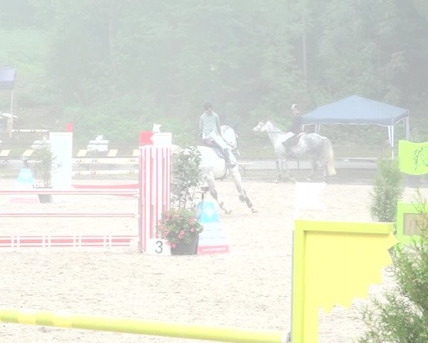 Reitturnier Sins 2018
