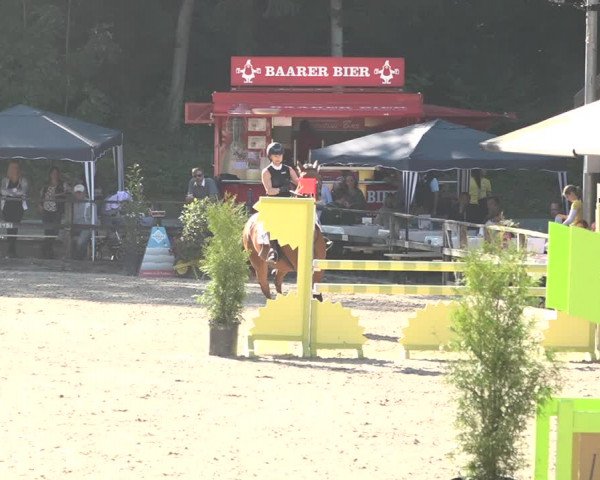 Reitturnier Sins 2018