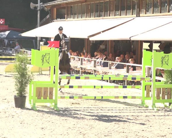 Reitturnier Sins 2018