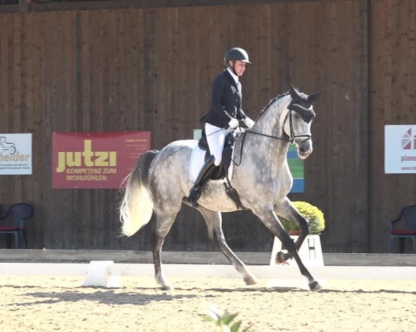 Reitturnier Deitingen 2018