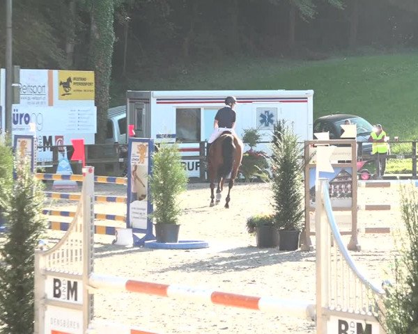 Reitturnier Sins 2018
