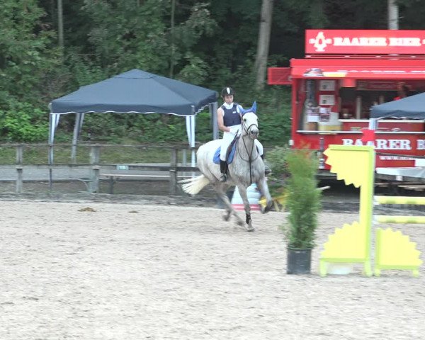 Reitturnier Sins 2018