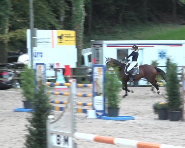 Reitturnier Sins 2018