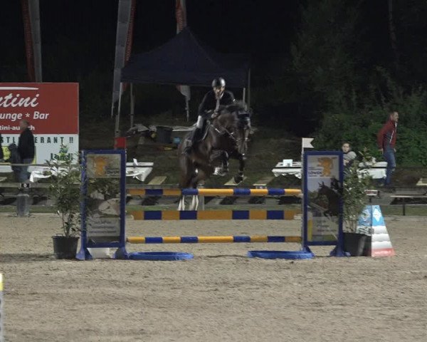 Reitturnier Sins 2018