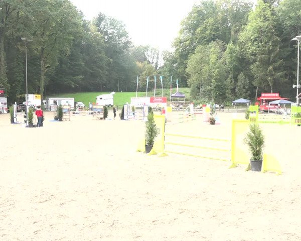 Reitturnier Sins 2018