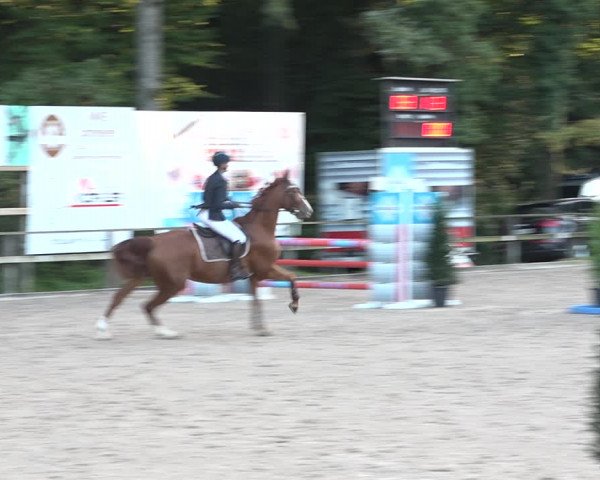 Reitturnier Sins 2018