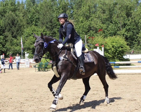broodmare Piccadilly Princess (KWPN (Royal Dutch Sporthorse), 2004, from Potsdam junior)