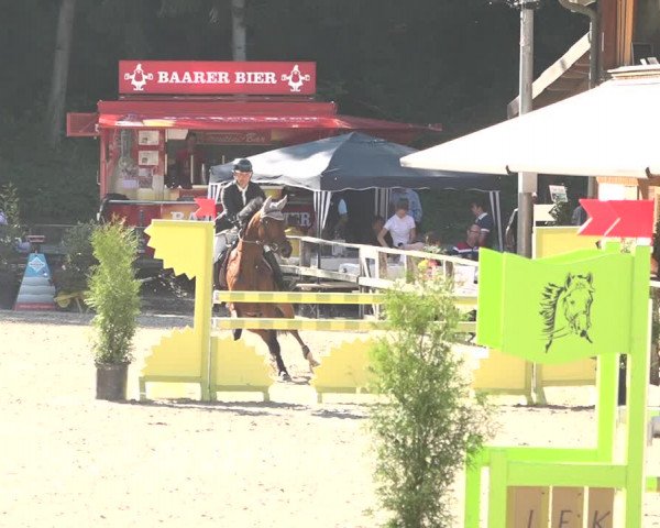 Reitturnier Sins 2018