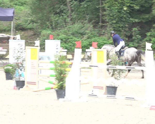 Reitturnier Sins 2018