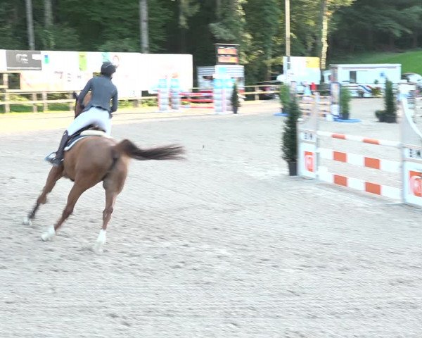 Reitturnier Sins 2018