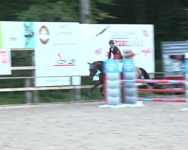 Reitturnier Sins 2018