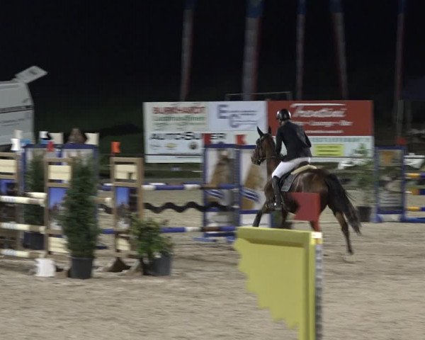 Reitturnier Sins 2018