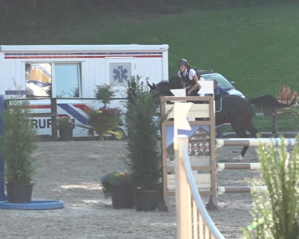 Reitturnier Sins 2018