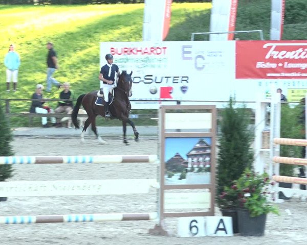 Reitturnier Sins 2018