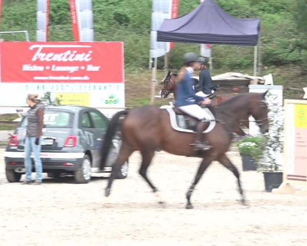 Reitturnier Sins 2018