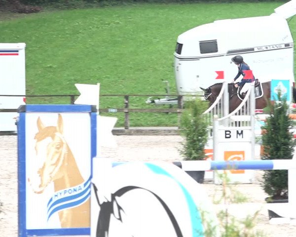 Reitturnier Sins 2018