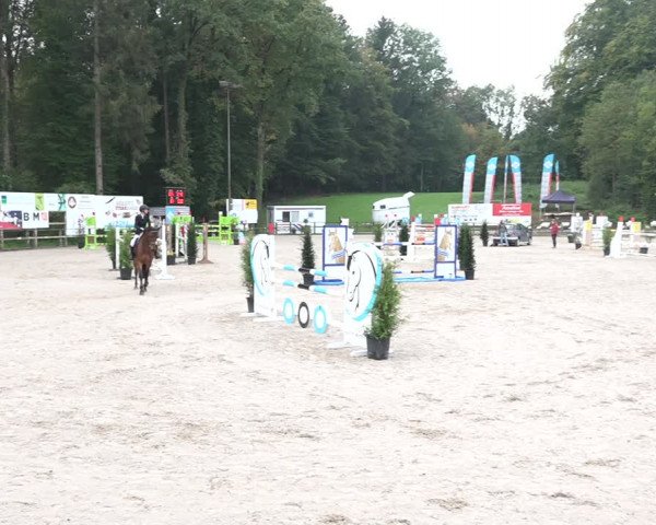 Reitturnier Sins 2018