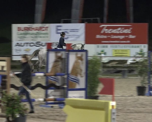 Reitturnier Sins 2018